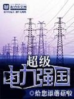 超级电力强国 小说